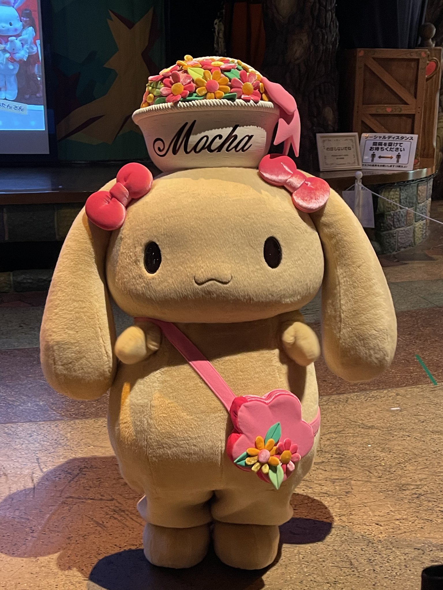 モカ