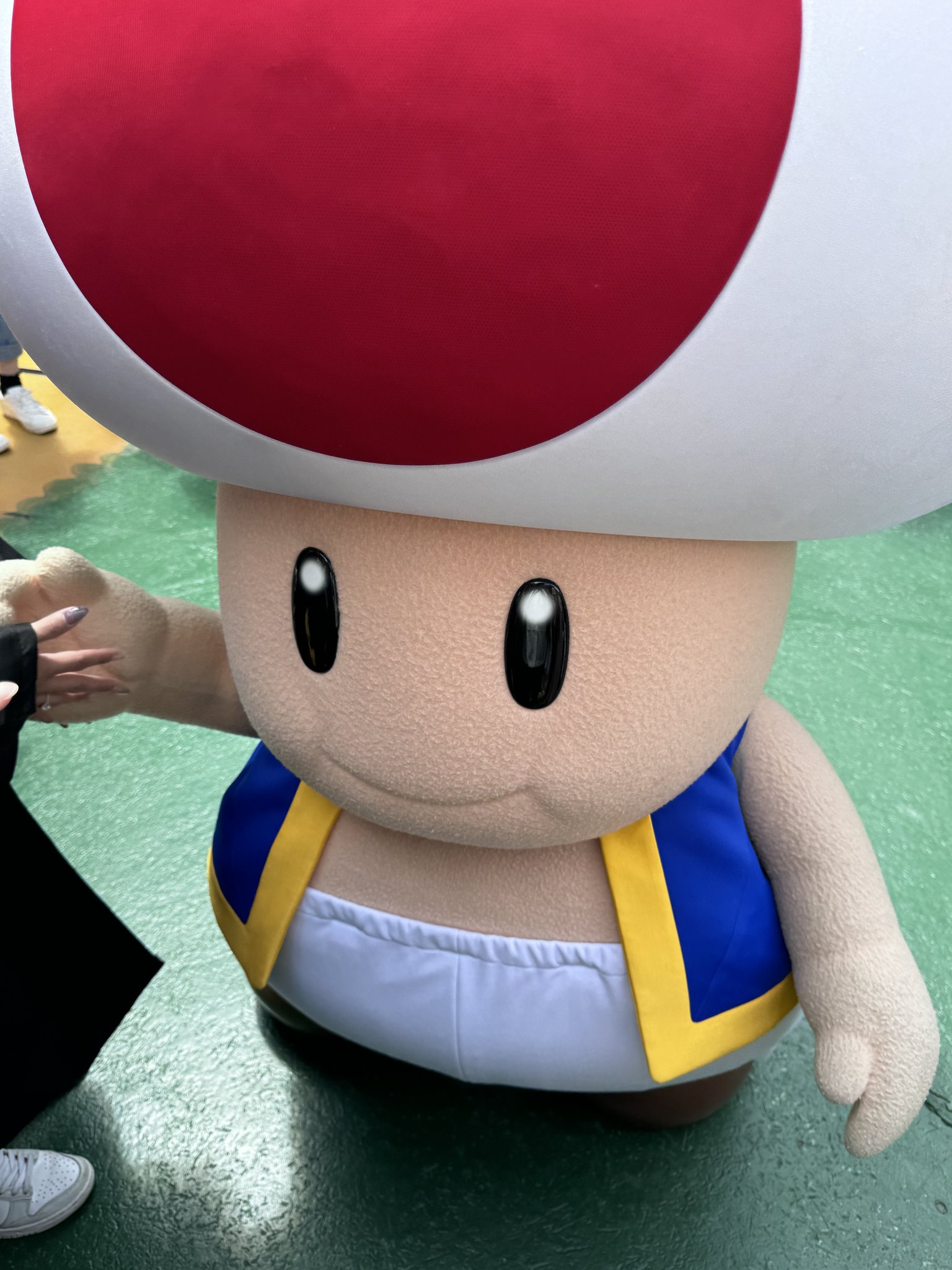 キノピオ